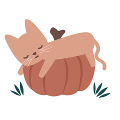 cute hand drawn cartoon character brown cat sleeping on pumpkin funny vector illustration isolated on white background