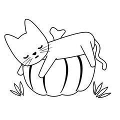 cute hand drawn cartoon character black and white  cat sleeping on pumpkin funny vector illustration for coloring art