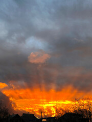 Fototapeta premium fiery orange sunset in the village in summer sky in the sunset