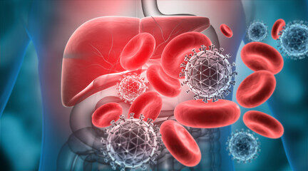 Human liver anatomy with hepatitis b virus. 3d illustration.. - obrazy, fototapety, plakaty