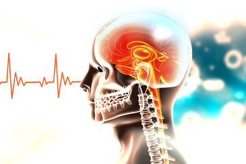 Human head brain anatomy on medical background. 3d illustration..