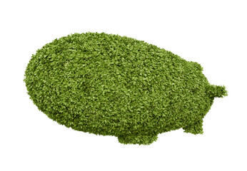 green leaves leaf airship blimp zeppelin or dirigible balloon isolated on white background. airship, blimp , zeppelin, dirigible balloon 3d element isolated. © boommaval