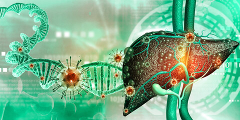 Human liver anatomy,DNA with hepatitis b virus. 3d illustration..
