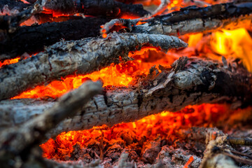 Hot coals in the fire close up
