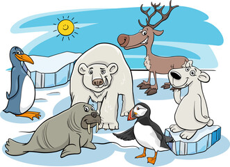 cartoon polar animals characters group