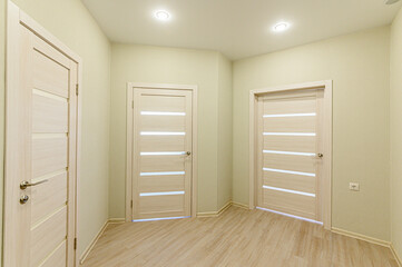 standard room interior apartment. room doors, renovation corridor lobby entrance hall