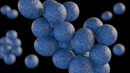 3d rendering of MRSA, stands for methicillin-resistant Staphylococcus aureus, a type of bacteria that is resistant to several antibiotics - obrazy, fototapety, plakaty
