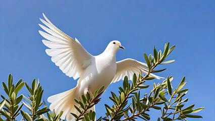 White dove of peace with an olive branch in its beak in flight on a blue backgroud