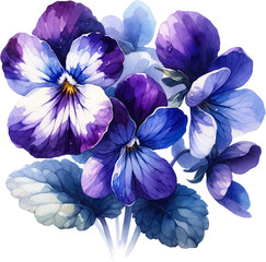 February Birth Month Flower Violet Watercolor Clipart Isolated
