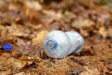 Plastic bottle thrown out in fallen leaves in forest