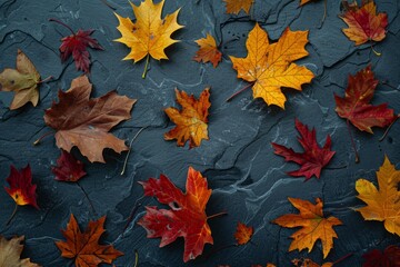 Naklejka na ściany i meble Colorful Fall Foliage Spread on Textured Slate Backdrop