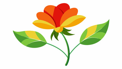 Fototapeta na wymiar orange flower isolated on white