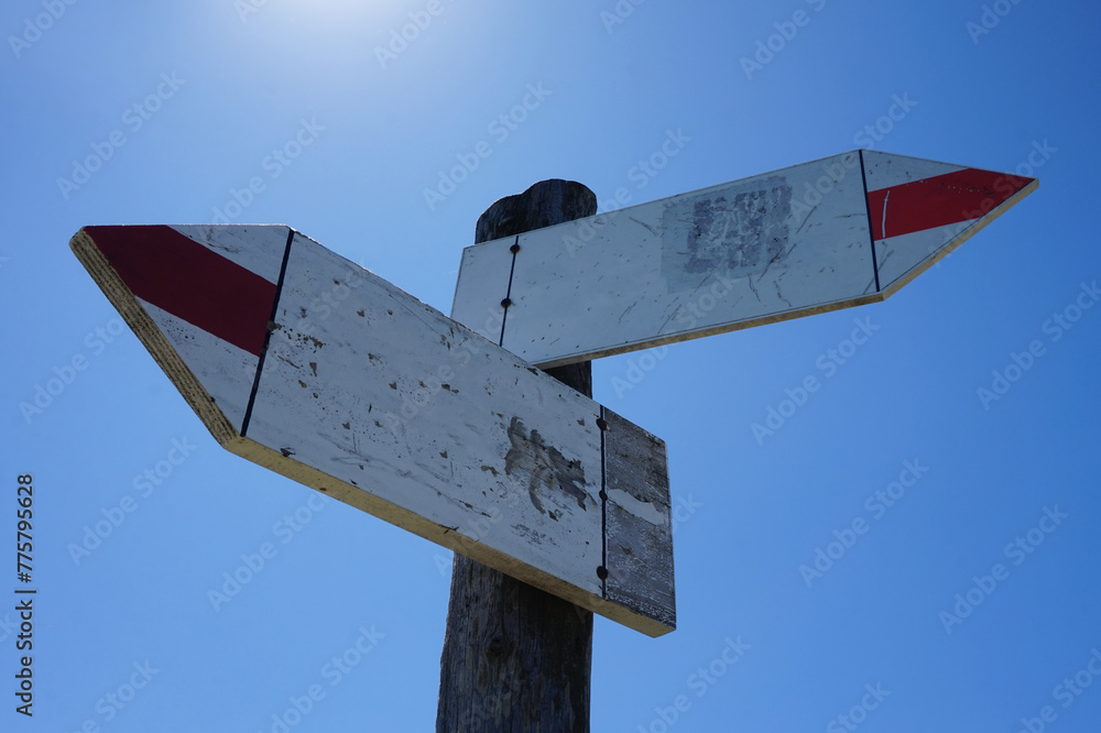 Canvas Prints wooden signpost with two arrows and clear sky