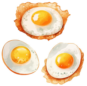 Watercolor Painting clipart of a set fried egg, isolated on a white background, Drawing Illustration, Graphic Painting, Vector fried egg. 