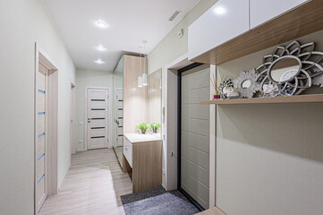 standard room interior apartment. room doors, renovation corridor lobby entrance hall