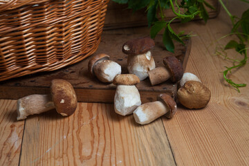 Several porcini mushrooms on wooden background at autumn season..