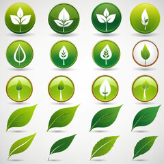 Icons of a variety of green leaves depicted in different shapes and sizes. The leaves are arranged in circles and displayed in a grid format.  - obrazy, fototapety, plakaty