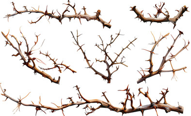 Fototapeta na wymiar Set of thorny tree branches in different positions, realistic, 3D 