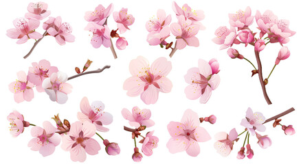 Set of vector illustrations of pink cherry blossom floristics, 3D