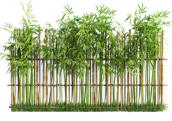 Obraz premium Bamboo, bamboo fence, isolated on white, in different positions, realistic, 3D 