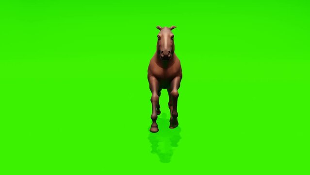Continuous loop: Captivating scene of a brown horse running gracefully against a lush green backdrop, ideal for creating captivating visual content.