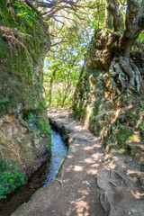 Narrow path along levada Caldeirao Verde (irrigation canal) in the island of Madeira, Portugal - 775808281