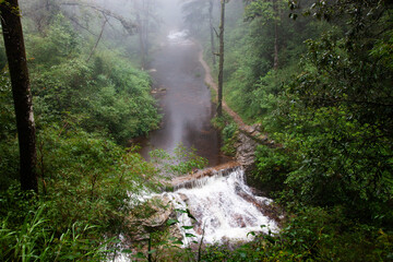 river and waterfall in rain forest - 775808622