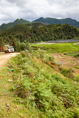 terraced green rice fields around Sa Pa, Vietnam - 775808670