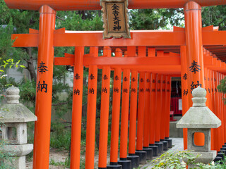神社の鮮やかな鳥居