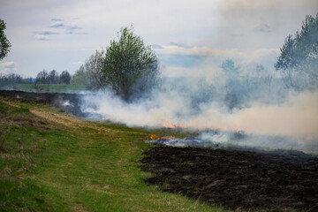 Agricultural field in flames. Vegetation fire.