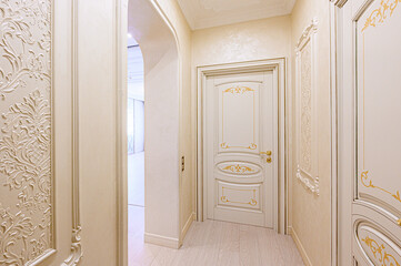 standard room interior apartment. room doors, renovation corridor lobby entrance hall