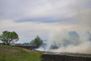 Fire in the field. Agricultural field in flames. Vegetation fire.