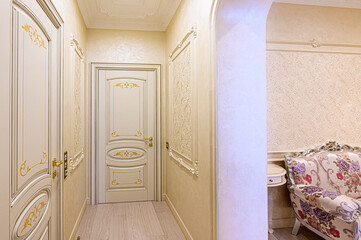 standard room interior apartment. room doors, renovation corridor lobby entrance hall