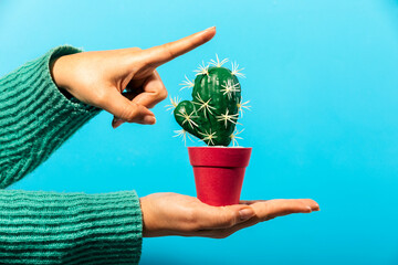 Balancing cactus pot on hand with pointing finger