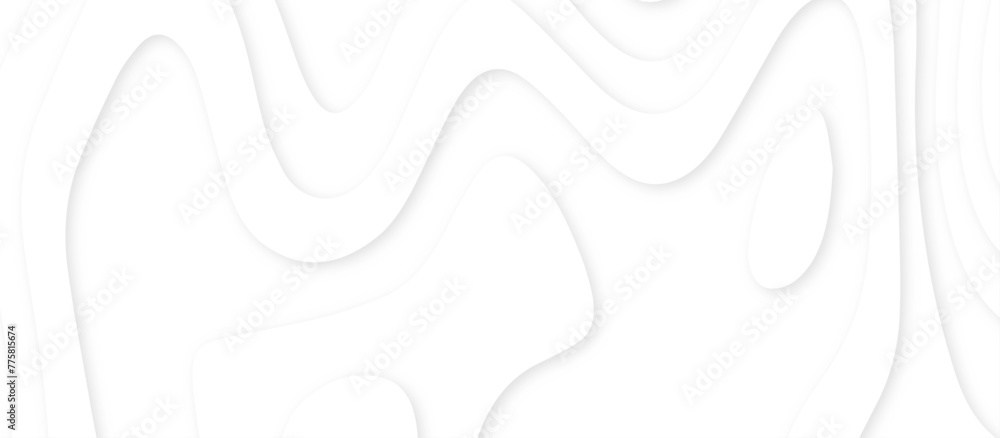 Poster abstract paper carve template. abstract white and gray 3d papercut topography relief vector backgrou