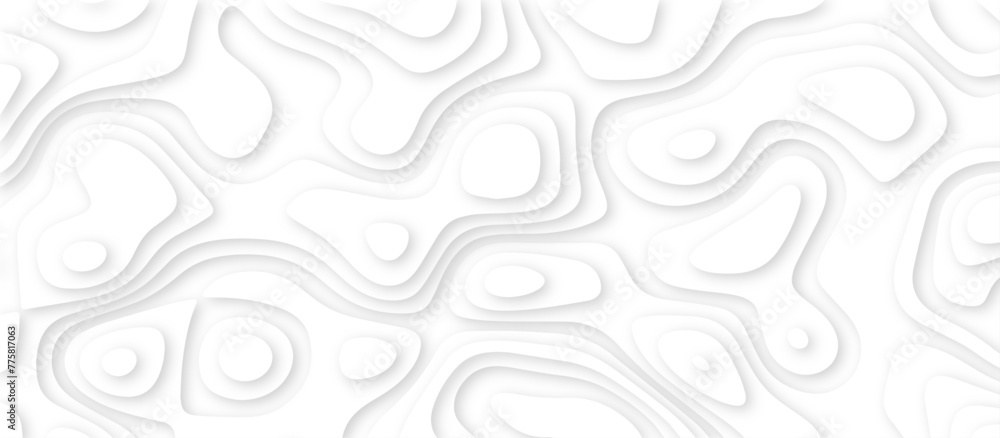 Poster abstract paper carve template. abstract white and gray 3d papercut topography relief vector backgrou