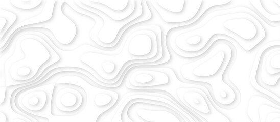 Abstract paper carve template. abstract white and gray 3d papercut topography relief vector background illustration. topographic canyon geometric map relief texture with curved layers and shadow.