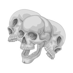 Illustration of skull 