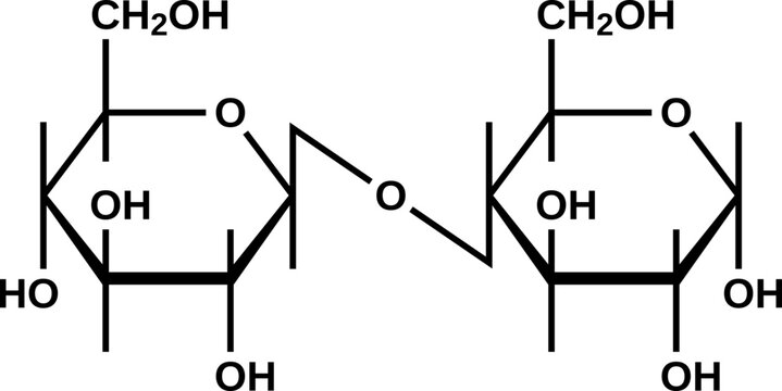 Alpha-cellobiose structural formula, vector illustration