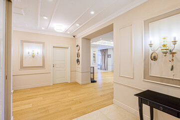 standard room interior apartment. room doors, renovation corridor lobby entrance hall