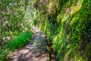 Narrow trail along levada Caldeirao Verde (irrigation canal) in the island of Madeira, Portugal