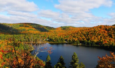 Overlook at a lake in fall, with colorful red and green leaves.