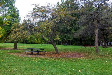 Scenic park with trees and benches offering shade.