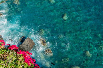 Drone view of rocks and bougainvillea flowerw with blue pristine sea with clear transparent water. Ocean background with copy space