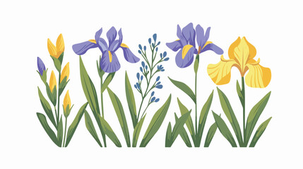 Illustration of iris and mugwort of Childrens Day flat