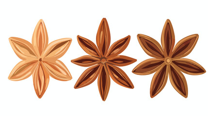Isolated element spice star star anise decorative bei