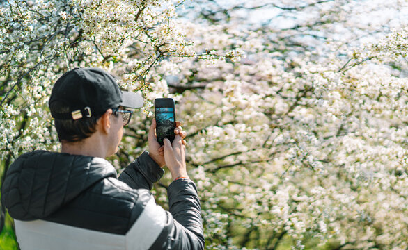 photographer taking pictures of blooming trees in spring