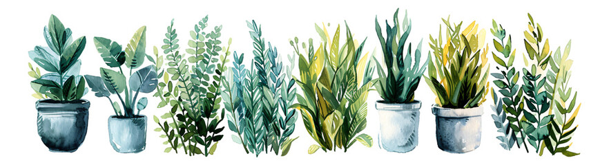 Watercolor style, botanical elements, transparent background - Powered by Adobe