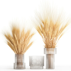 Bouquet of dried wheat spikelets in a glass vase isolated on white background