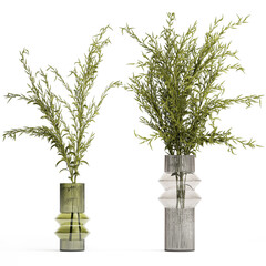 Bouquets of green branches of Solidago flowers in a vase isolated on white background